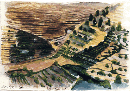 Dirk Hofacker Lanzarote valle Tabayesco